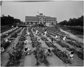 [Gardens.]