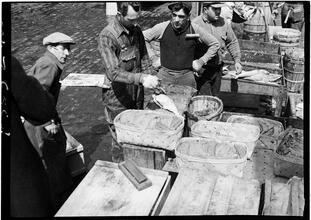 Fulton Fish Market: Cleaning Fish 2.