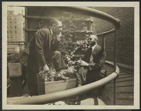 New York Association for the Blind, Group of 2 Colored Men by Potted Plants on Roof.
