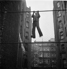 Shoe Shine Boy [Mickey climbing a fence.]