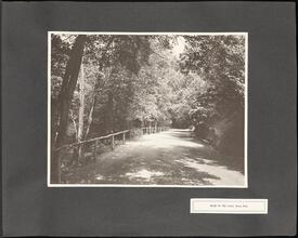 Road to the Falls, Bronx Park [Parks of the Bronx, 1904.]