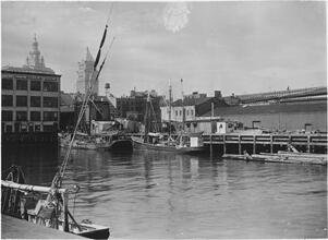 [East River and Fulton Fish Market.]