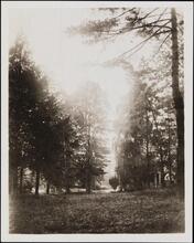 [Ingham House in Fort Washington Park.]