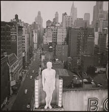 New York in the Summertime