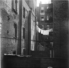 Tenement Backs
