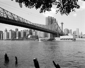 [Queensboro Bridge and Roosevelt Island Tramway.]