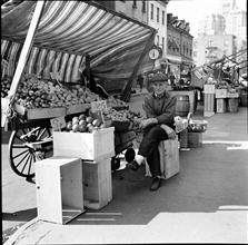 Pushcarts 2.
