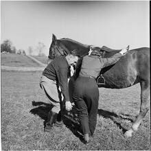 Arthur Godfrey [Godfrey helping a woman mount a horse.]