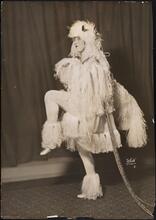 [Gladys Walton as Petruschka in "The Last Waltz".]