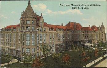 American Museum of Natural History, New York City.