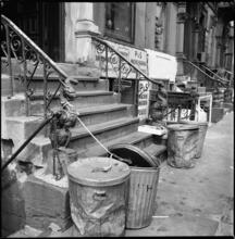 [Cast iron mythical creature sculptures on the stoop of 17 Eldridge Street.]