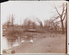 Central Park Zoo.