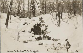 Winter in Central Park, New York.