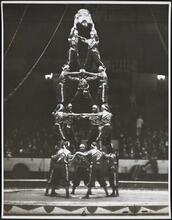 [Acrobats in human pyramid at a circus.]
