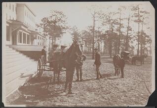 Park in the Pines, Aiken S.C.