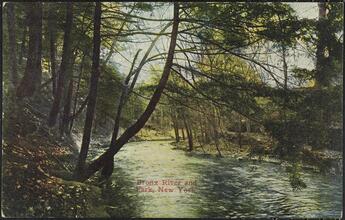 Bronx River and Park, New York.
