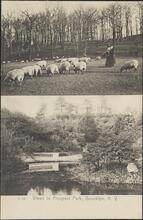 Views in Prospect Park, Brooklyn, N.Y.