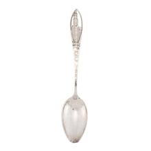 Souvenir Spoon
