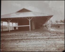 Race Tracks, Belmont Park.
