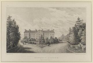 Lunatic Asylum