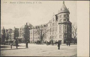 Museum of Natural History, N. Y. City.