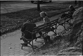 Men Are Such Wolves [Man talking to a woman in the park.]