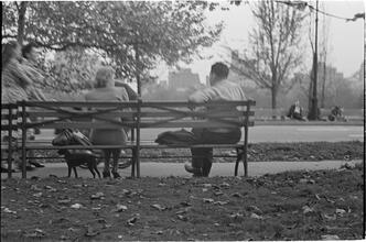 Men Are Such Wolves [Man talking to a woman in the park.]