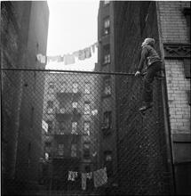 Shoe Shine Boy [Mickey climbing a fence.]