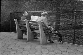 Men Are Such Wolves [Man talking to a woman in the park.]