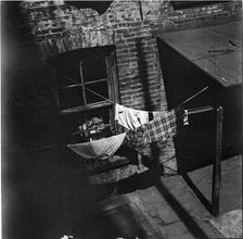 Tenement