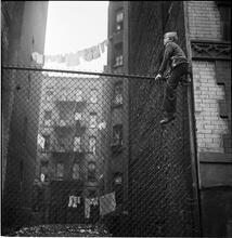 Shoe Shine Boy [Mickey climbing a fence.]