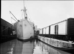 Unloading Bananas.