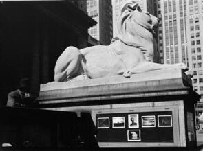[Lion statue in front of New York Public Library.]