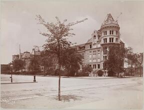 [American Museum of Natural History.]