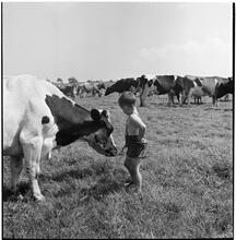 [Farm.]