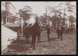 Park in the Pines, Aiken S.C.