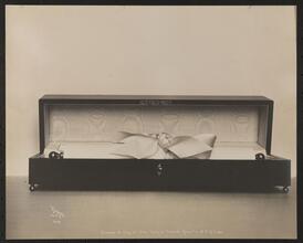 Freedom of the City of New York in Casket given to Dr. F.A. Cooke.