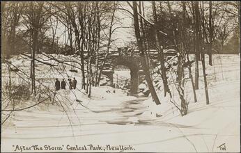 "After the Storm" Central Park, New York.