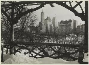 [From Central Park facing southwest]