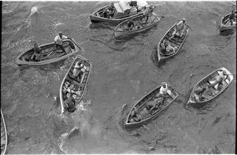 [Overhead view of men in rowboats.]