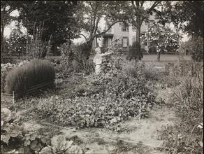 [Boy in garden.]