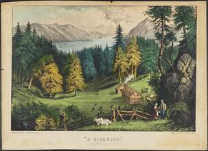 "A Clearing."
