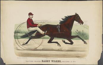 Trotting Gelding Harry Wilkes, Record 2:13 1/2.