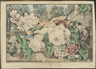 Flowers, No. 1