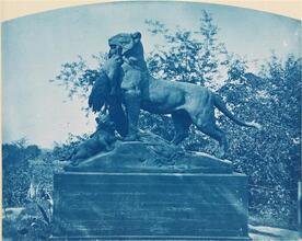 [Statue of a lion hunting, Central Park.]