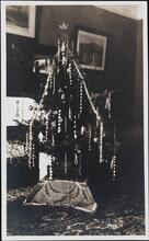[Christmas tree.]