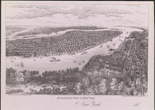 Microscopic View of New York