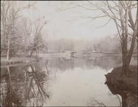 [Bronx Park.]