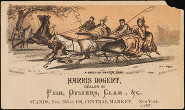 Harris Bogert