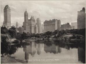 [The Plaza Hotels from Central Park.]